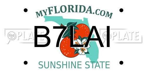 B7LAI Florida License Plate