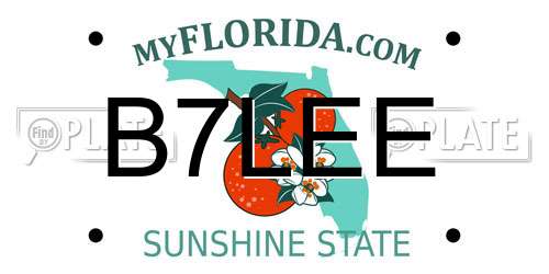 B7LEE Florida License Plate