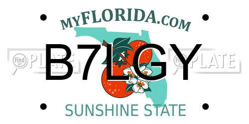 B7LGY Florida License Plate