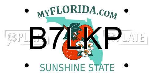B7LKP Florida License Plate