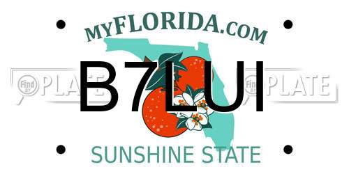 B7LUI Florida License Plate