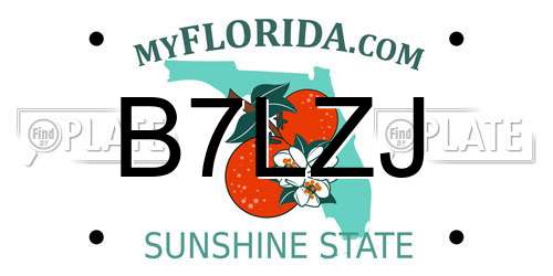 B7LZJ Florida License Plate