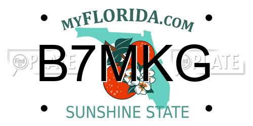 B7MKG Florida License Plate