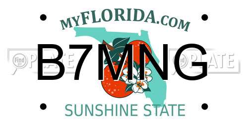 B7MNG Florida License Plate