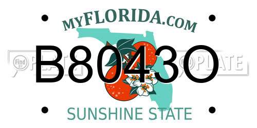 B8043O Florida License Plate