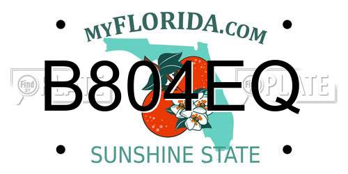 B804EQ Florida License Plate