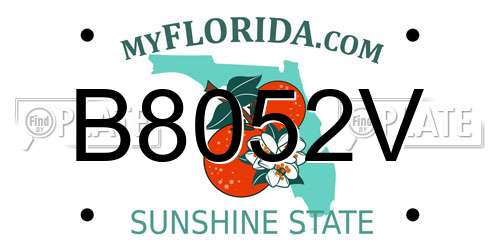 B8052V Florida License Plate