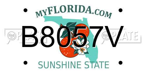 B8057V Florida License Plate