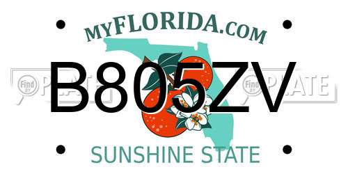 B805ZV Florida License Plate