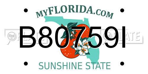 B80759I Florida License Plate
