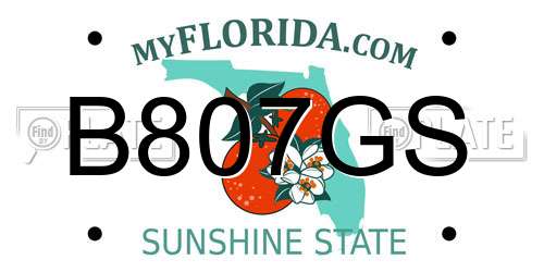 B807GS Florida License Plate