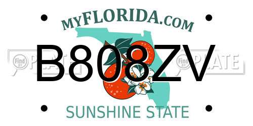 B808ZV Florida License Plate