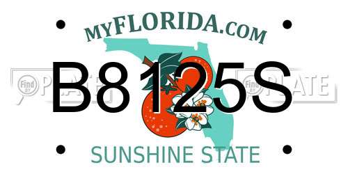 B8125S Florida License Plate