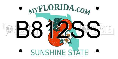 B812SS Florida License Plate