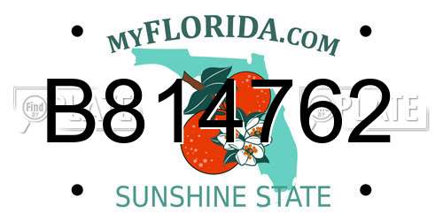 B814762 Florida License Plate