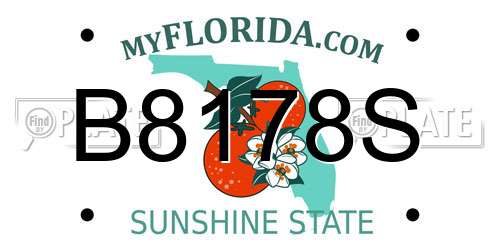 B8178S Florida License Plate