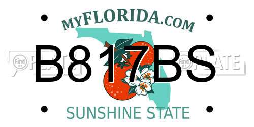 B817BS Florida License Plate