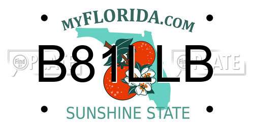 B81LLB Florida License Plate