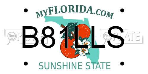 B81LLS Florida License Plate