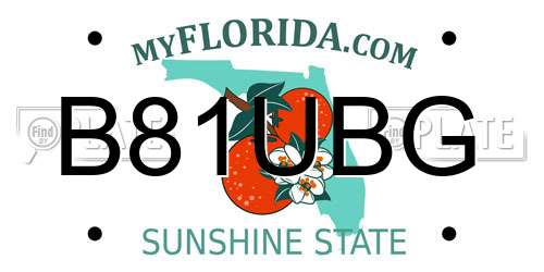 B81UBG Florida License Plate