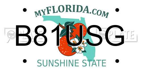 B81USG Florida License Plate
