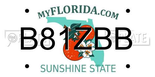 B81ZBB Florida License Plate