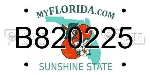 B820225 Florida License Plate
