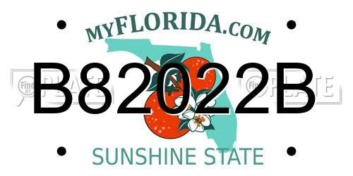 B82022B Florida License Plate