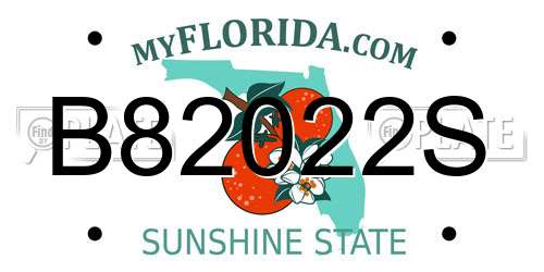B82022S Florida License Plate