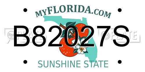 B82027S Florida License Plate