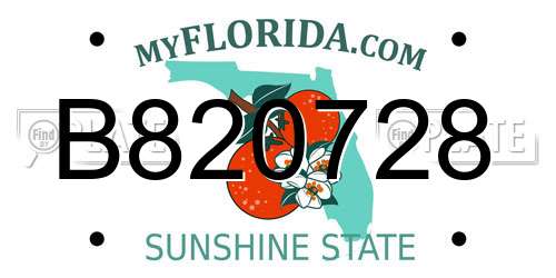 B820728 Florida License Plate