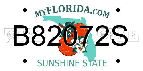 B82072S Florida License Plate