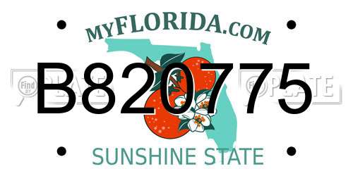 B820775 Florida License Plate