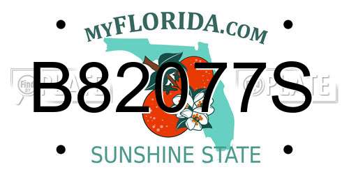 B82077S Florida License Plate