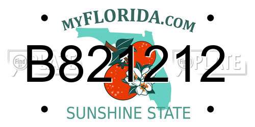 B821212 Florida License Plate