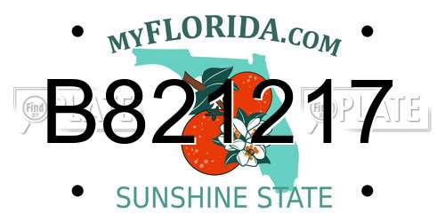 B821217 Florida License Plate