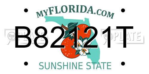 B82121T Florida License Plate