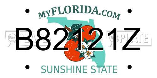 B82121Z Florida License Plate