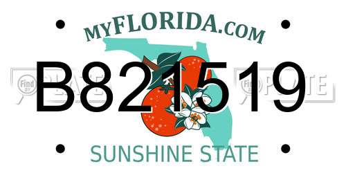 B821519 Florida License Plate