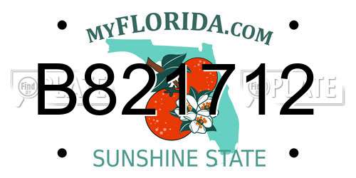 B821712 Florida License Plate
