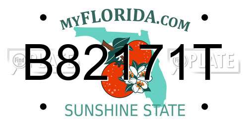 B82171T Florida License Plate
