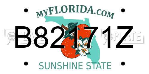 B82171Z Florida License Plate
