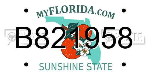 B821958 Florida License Plate
