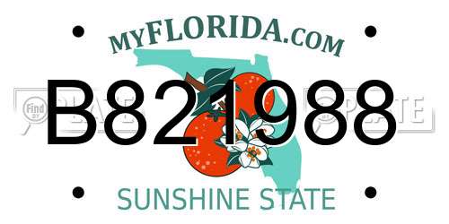 B821988 Florida License Plate