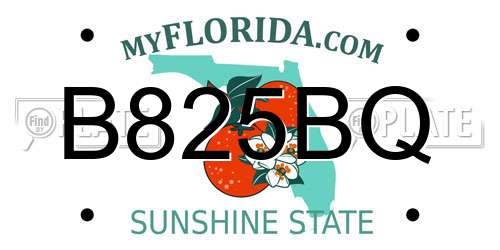 B825BQ Florida License Plate