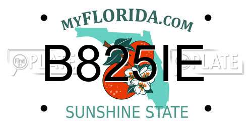B825IE Florida License Plate