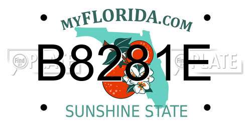 B8281E Florida License Plate