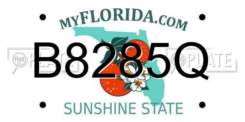 B8285Q Florida License Plate