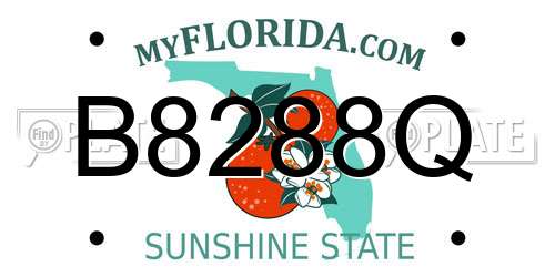 B8288Q Florida License Plate