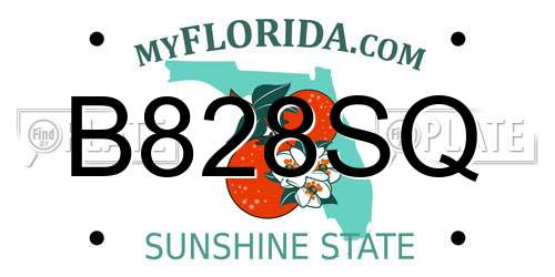 B828SQ Florida License Plate